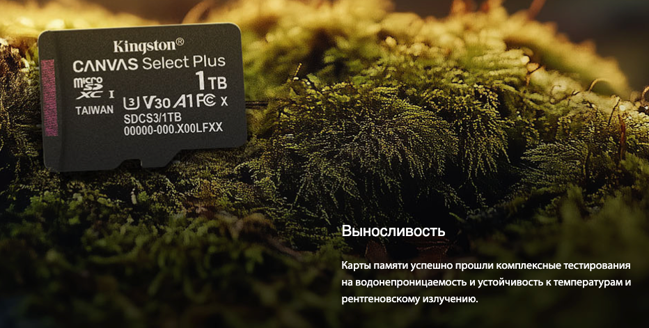 microSD