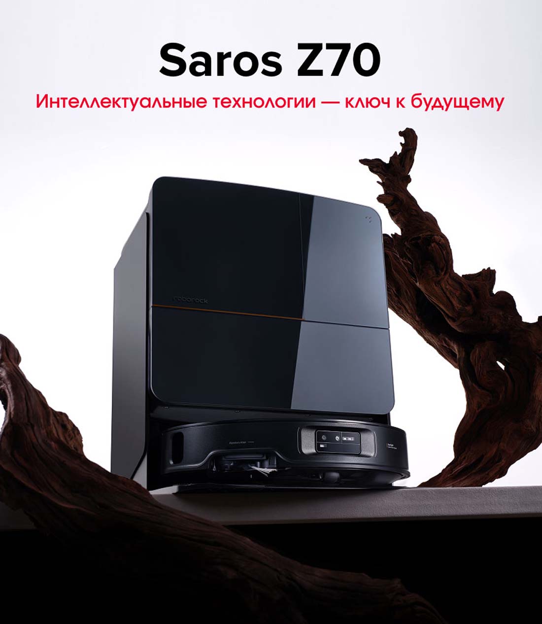 roborock-z70 в Перми roborock-z70