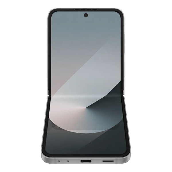 Samsung Galaxy Z Flip6 12/512Gb (2024) Silver Shadow, серый