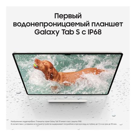 Samsung Galaxy Tab S9+ 12,4" Wi-Fi 12/256Gb Beige, бежевый