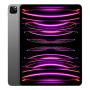 Apple iPad Pro 12,9" (M2, 2022, 6 gen) Wi-Fi + Cellular 256Gb Space Gray, «серый космос»